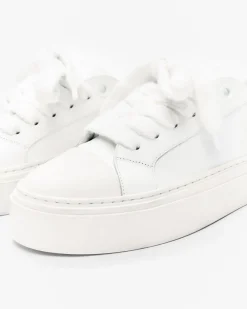 Cole Buxton THE WILSON COURT SNEAKER| Footwear